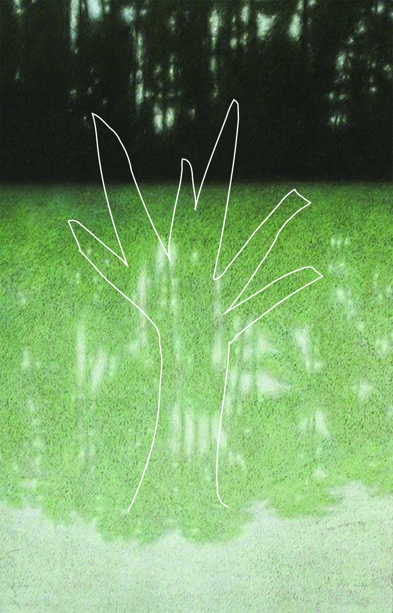 long vertical background